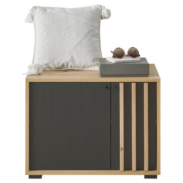 BANCĂ PENTRU HOL 64,3/47/38 cm